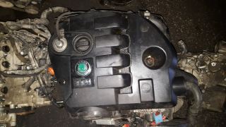 Passat 1.9 TDi Motor Çıkma Orjinal 2001-2004